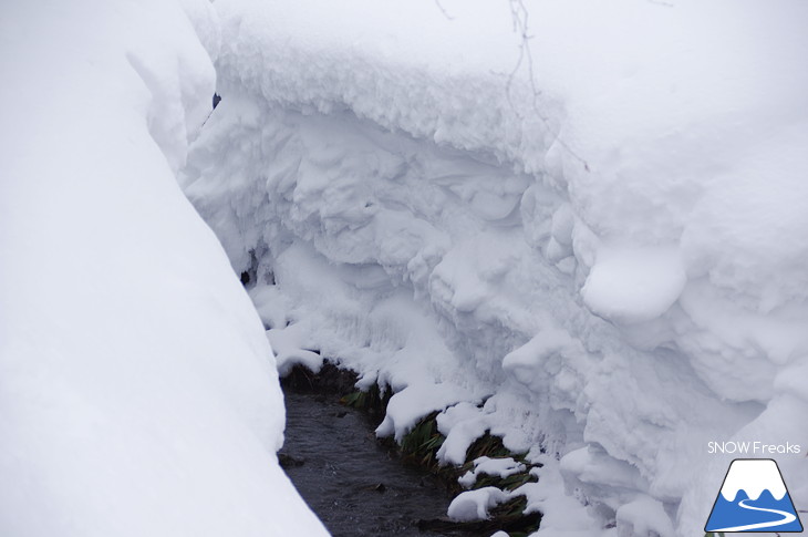 大雪山旭岳ロープウェイ 北海道最高峰でパウダーライド！